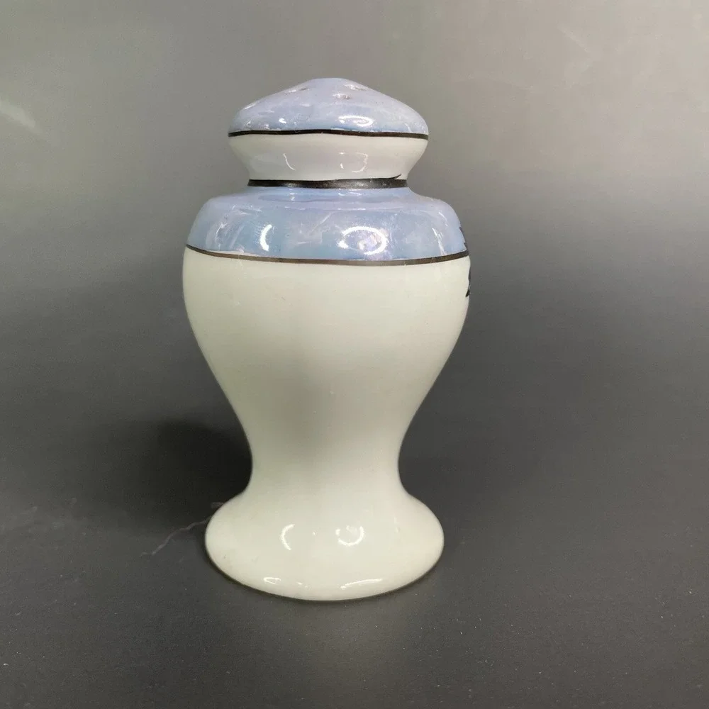 Vintage Lustreware Salt & Pepper Shaker Set Japan Porcelain Hand Painted Parrots